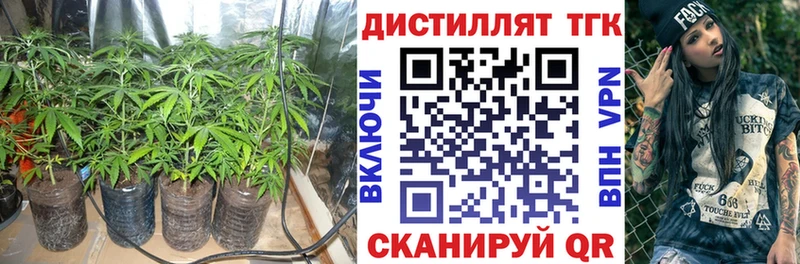 KRAKEN как войти  купить   Ковылкино  Дистиллят ТГК Wax 
